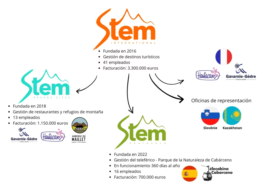 organigramme-stem